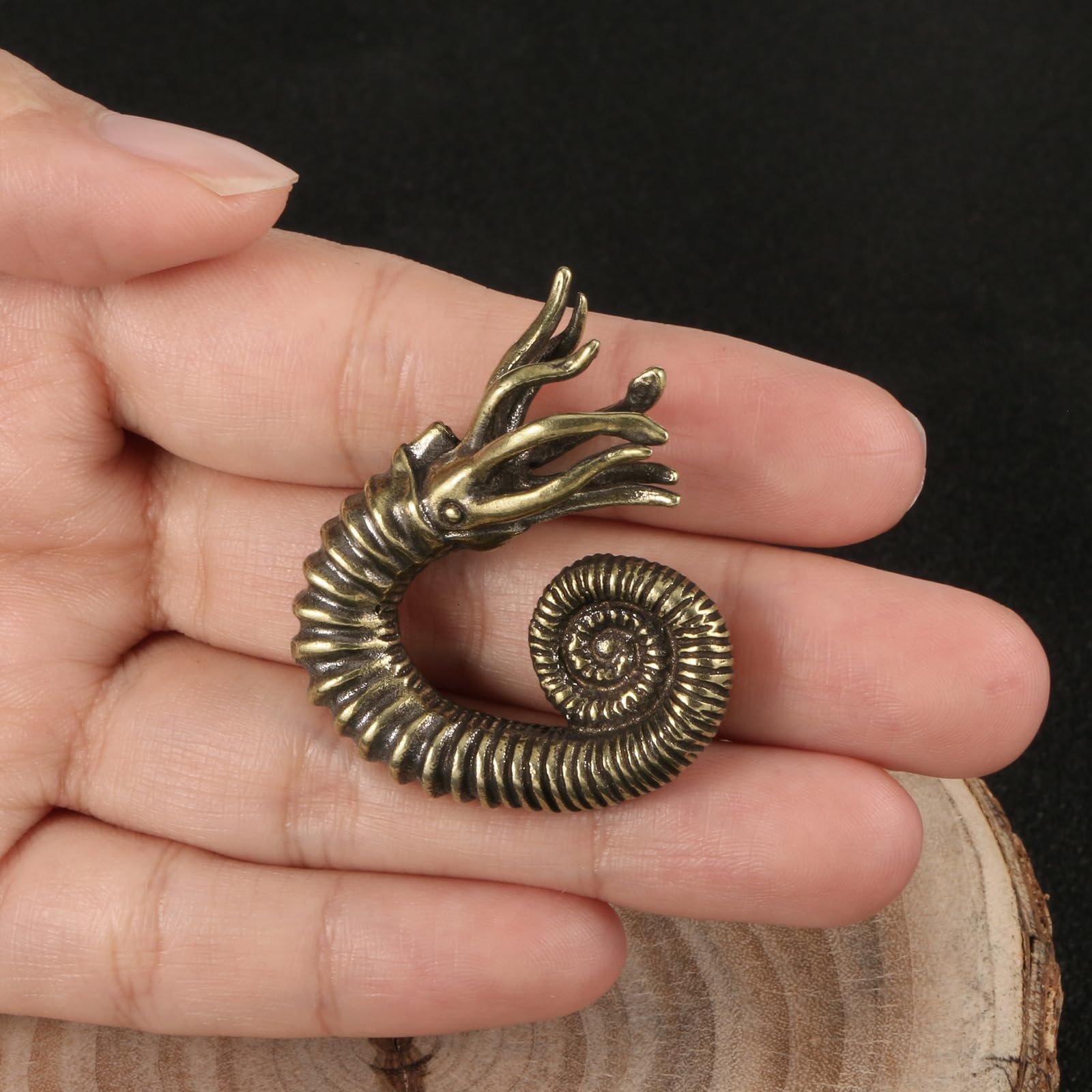YANGPZFC Small Copper Fossil Shell Ornament Brass Statue For Desk Decor, Handcrafted Vintage Sculpture