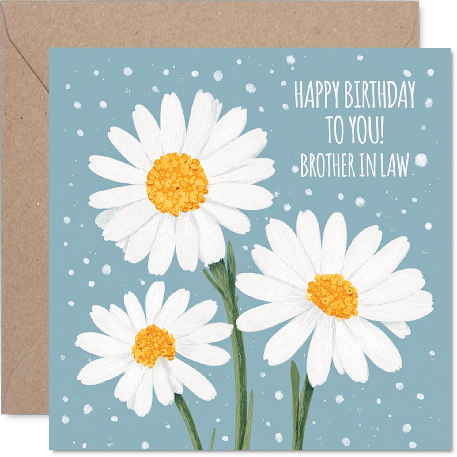 Brother in Law Birthday Card - Daisies - Happy Birthday Card for Brother in Law from Sister Sibling, 145mm Bday Greeting Cards