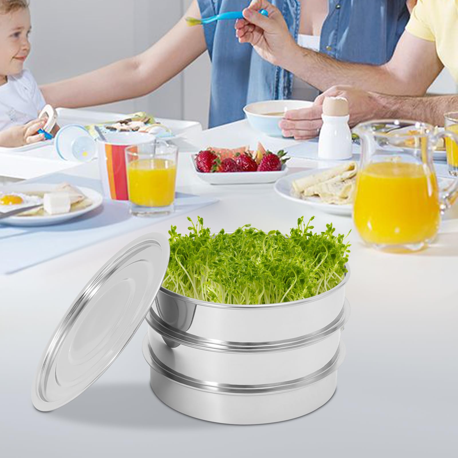 Kit de culture de germes en acier inoxydable double couche avec couvercle, pour graines de cresson, graines de cresson, bac de culture avec réservoir d'eau pour les semis dans la cuisine