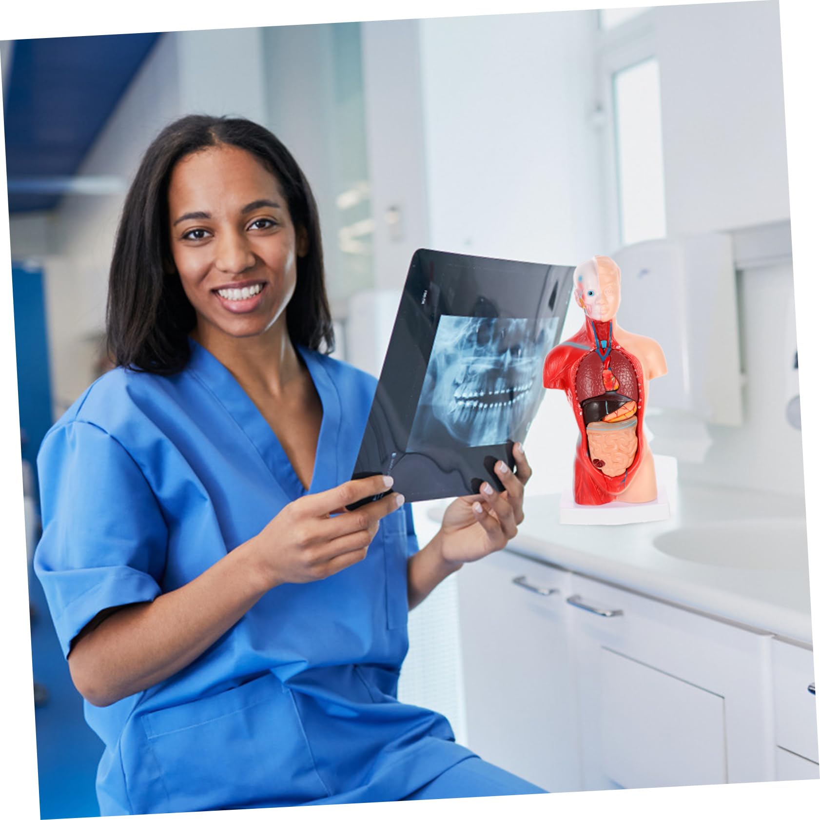 KICHOUSE Human Body Teaching Model Anatomy Organs Model Medical Teaching Tool Biology Demonstration