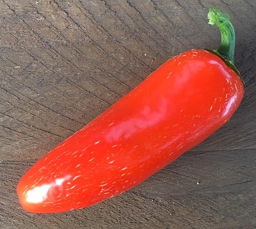 Paquete de semillas prémium de pimienta jalapeña con especias de naranja, perfecto para poppers + más