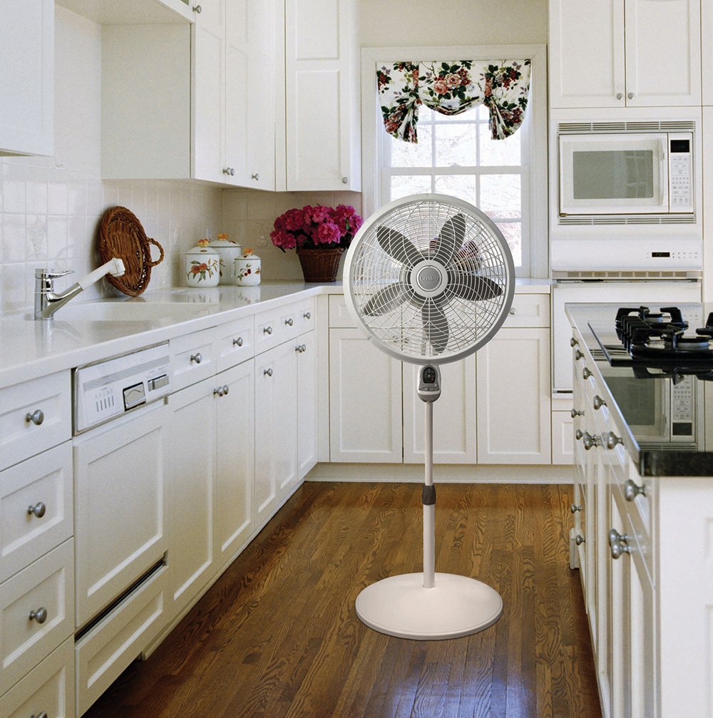 Amazon.com: Lasko 18-Inch Remote Elegance and Performance Pedestal Floor Fan,  18 Inch, White 1850 : Home u0026 Kitchen
