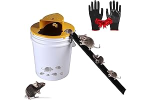 Flip n Slide Bucket Lid Mouse Trap: Pest Problem Solver
