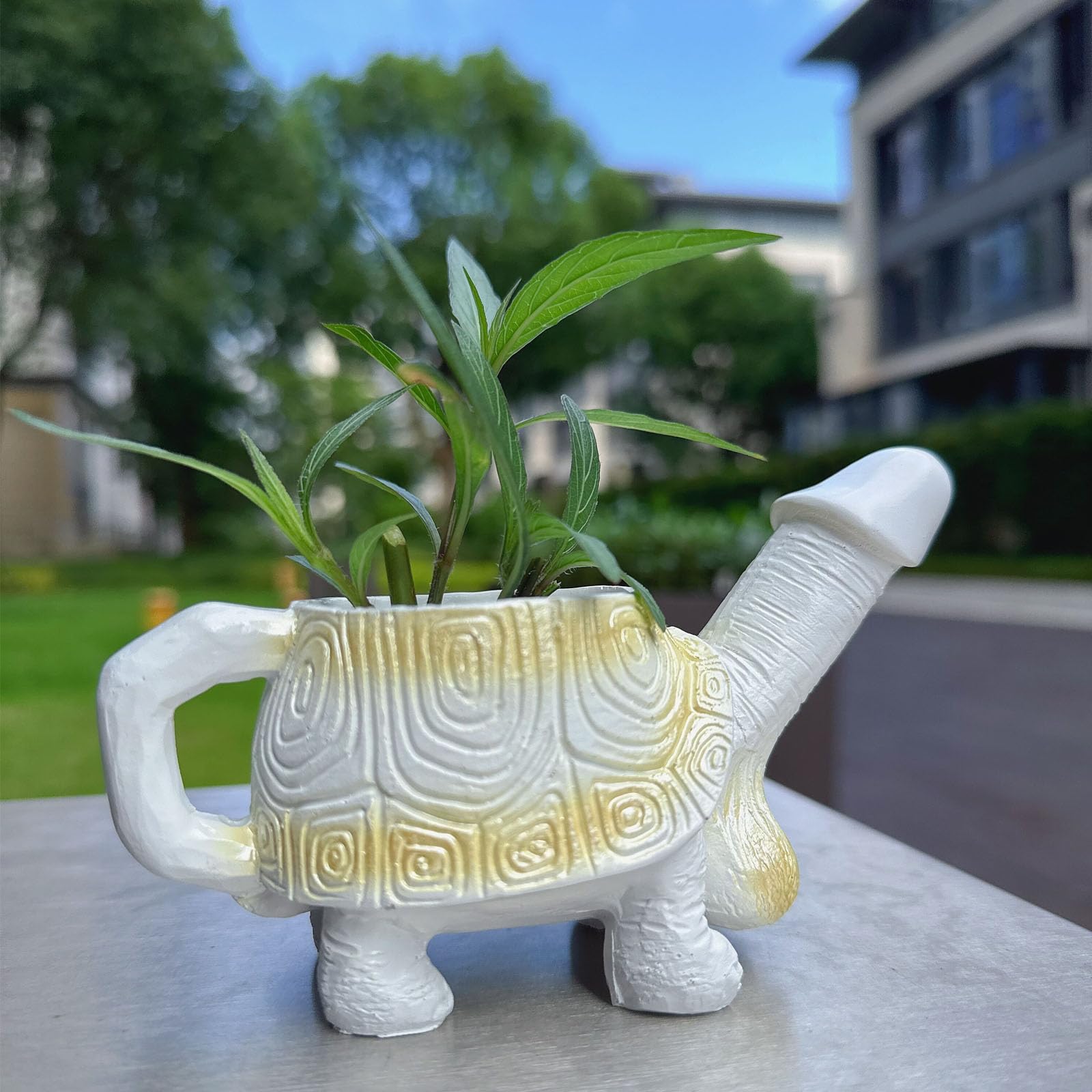 Penis Turtle Planter Turtle Flower Pot Mischievous Joke Gift Indoor and Outdoor Garden Decoration