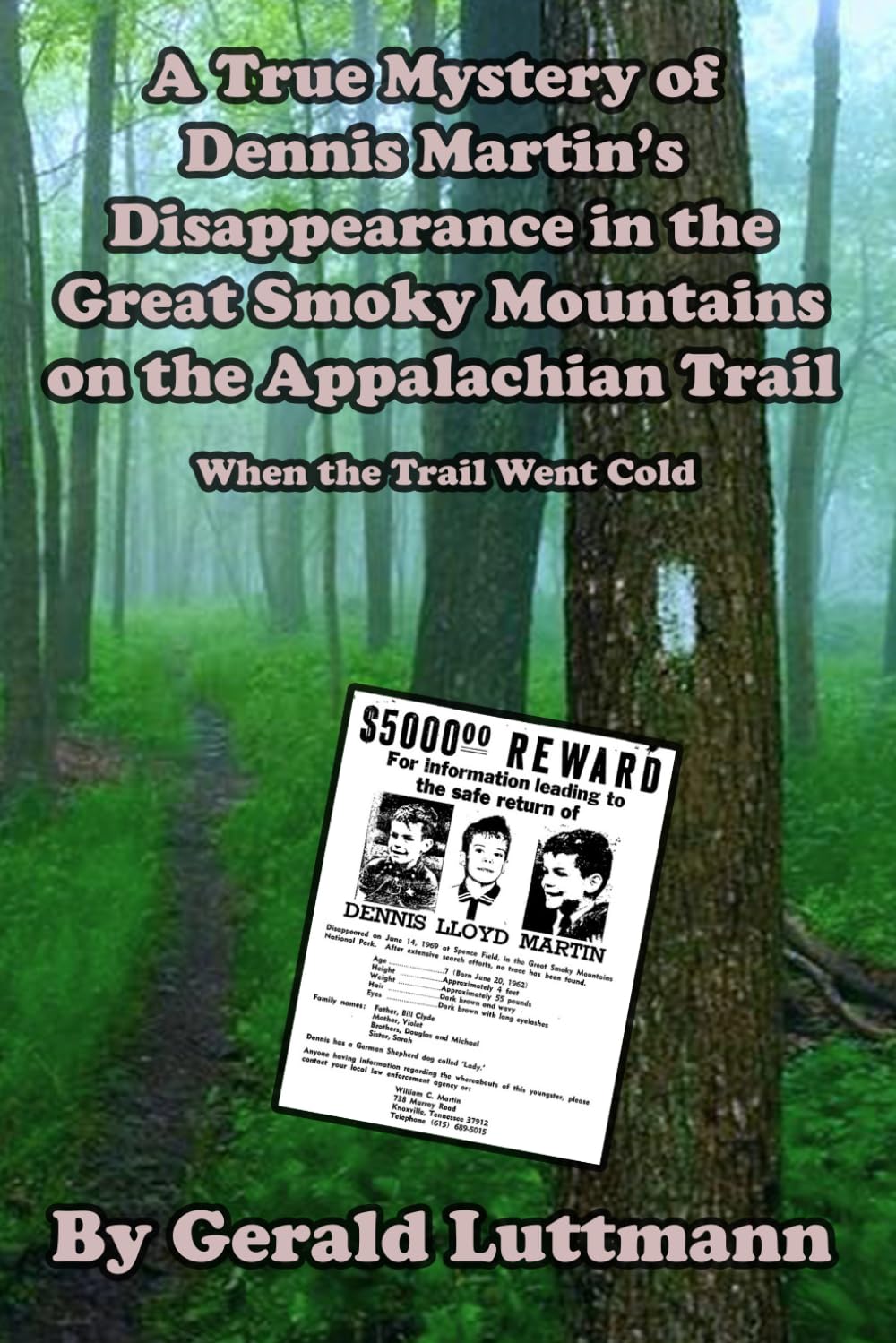 A True Mystery of Dennis Martin’s Disappearance in the Great Smoky Mountains on the Appalachian Trail: When the Trail Went Cold