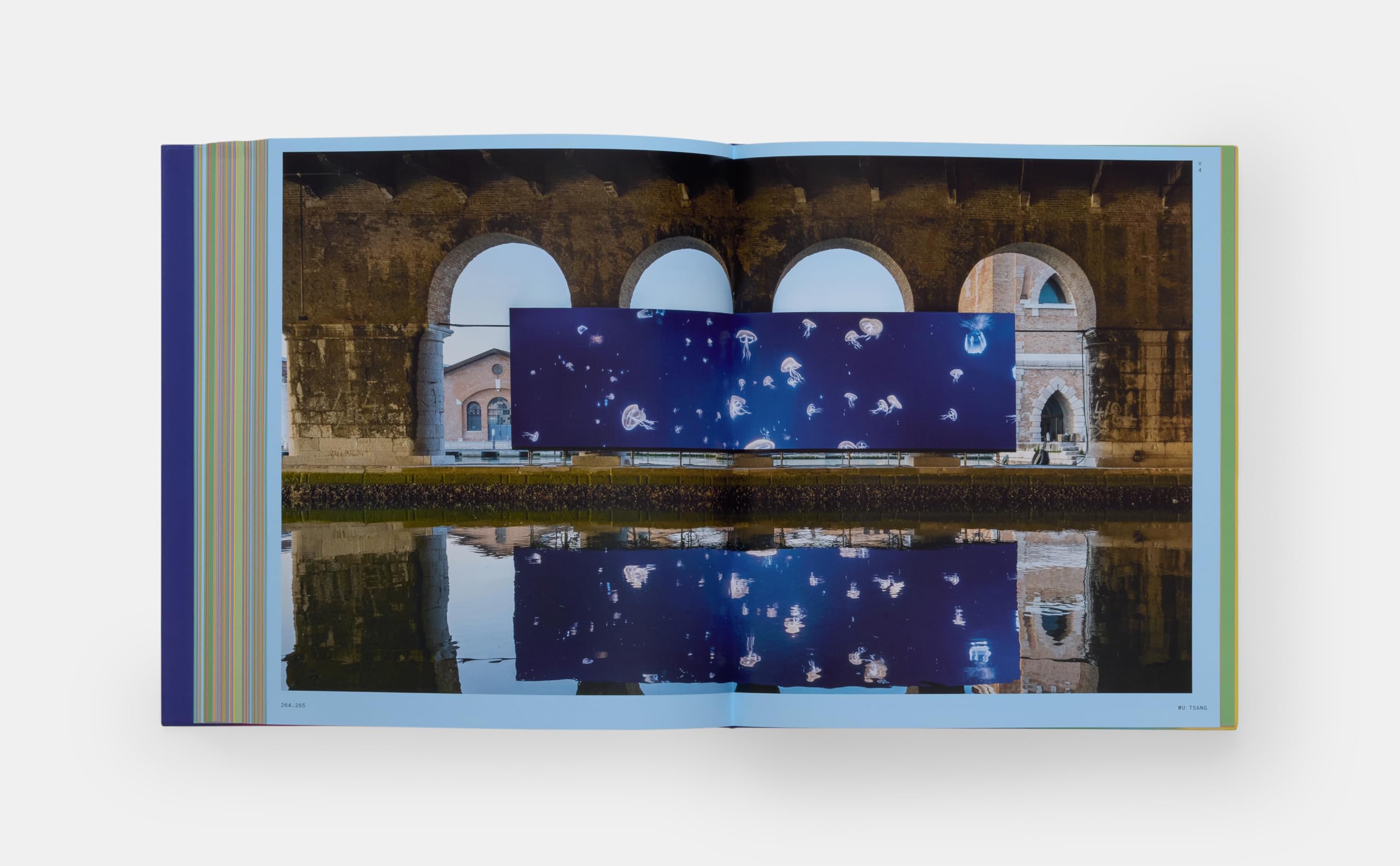 Vitamin V: Video and the Moving Image in Contemporary Art