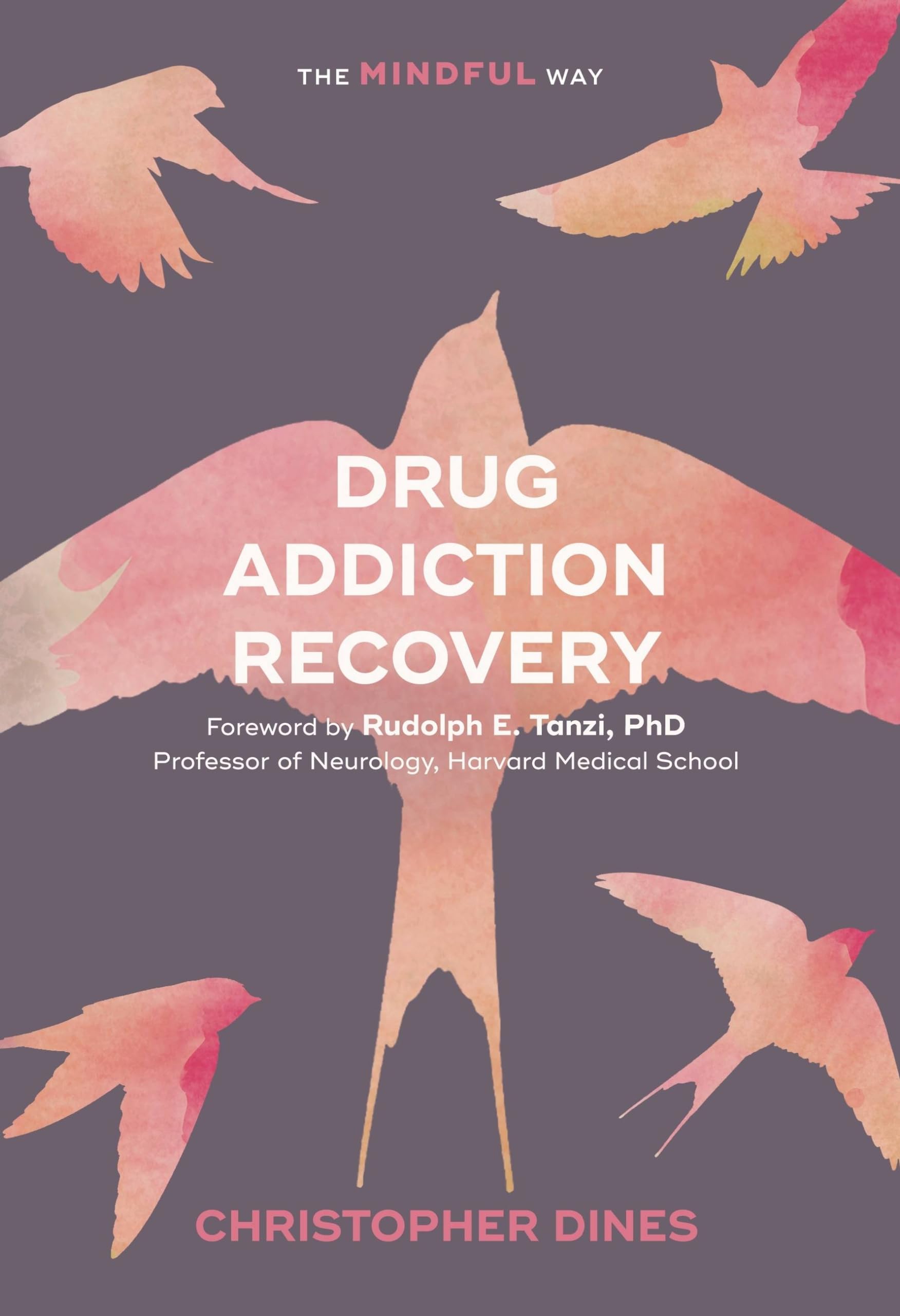 Drug Addiction Recovery