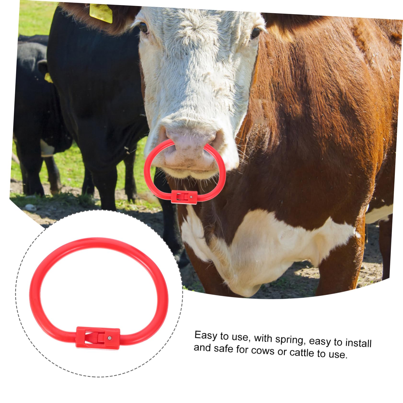 Amazon.co.jp: ROMISBABA ブルノーズリング 闘牛場 タグ 子牛の鼻の