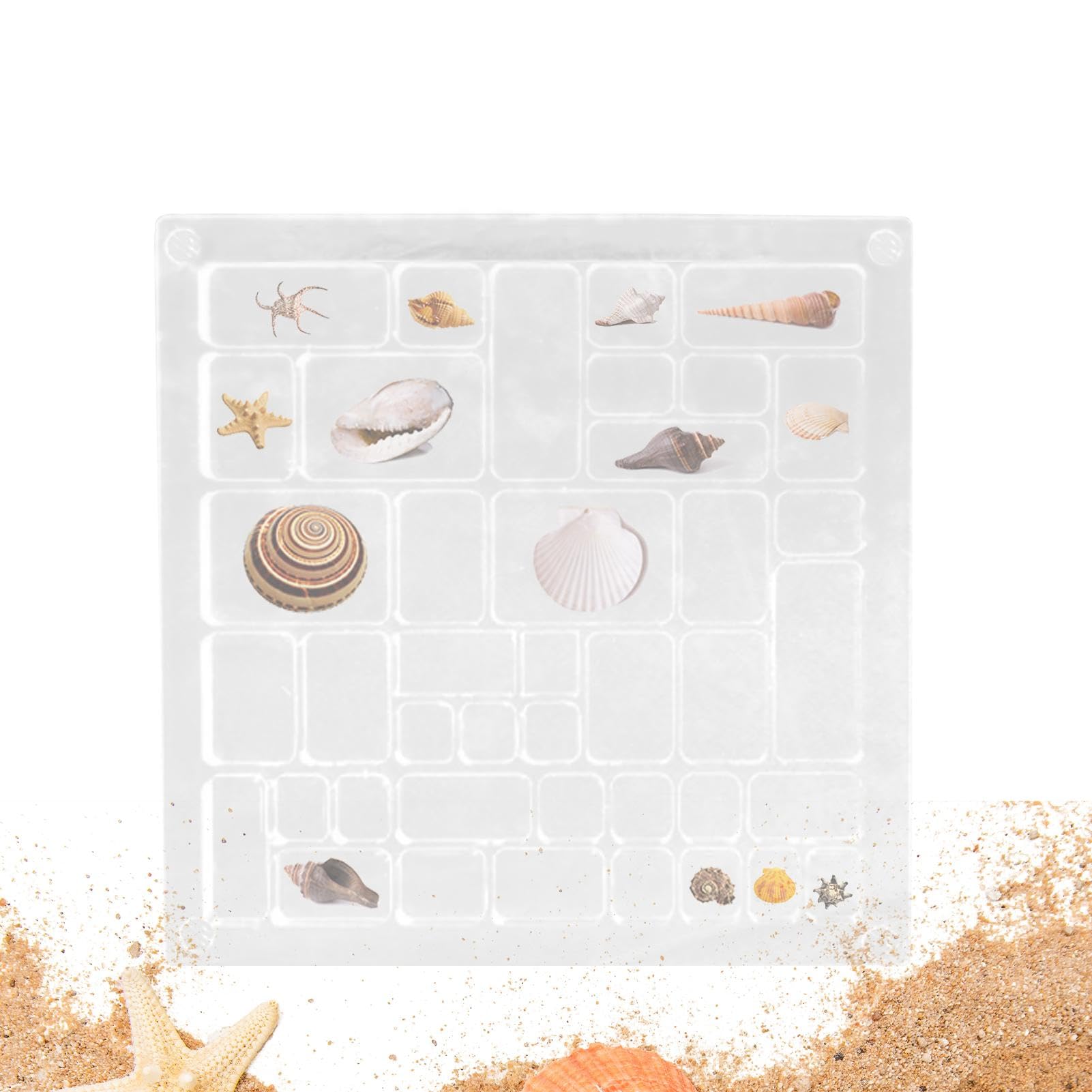 Amazon.co.jp: 貝殻収納ボックス、貝殻コレクションボックス, 正方形の