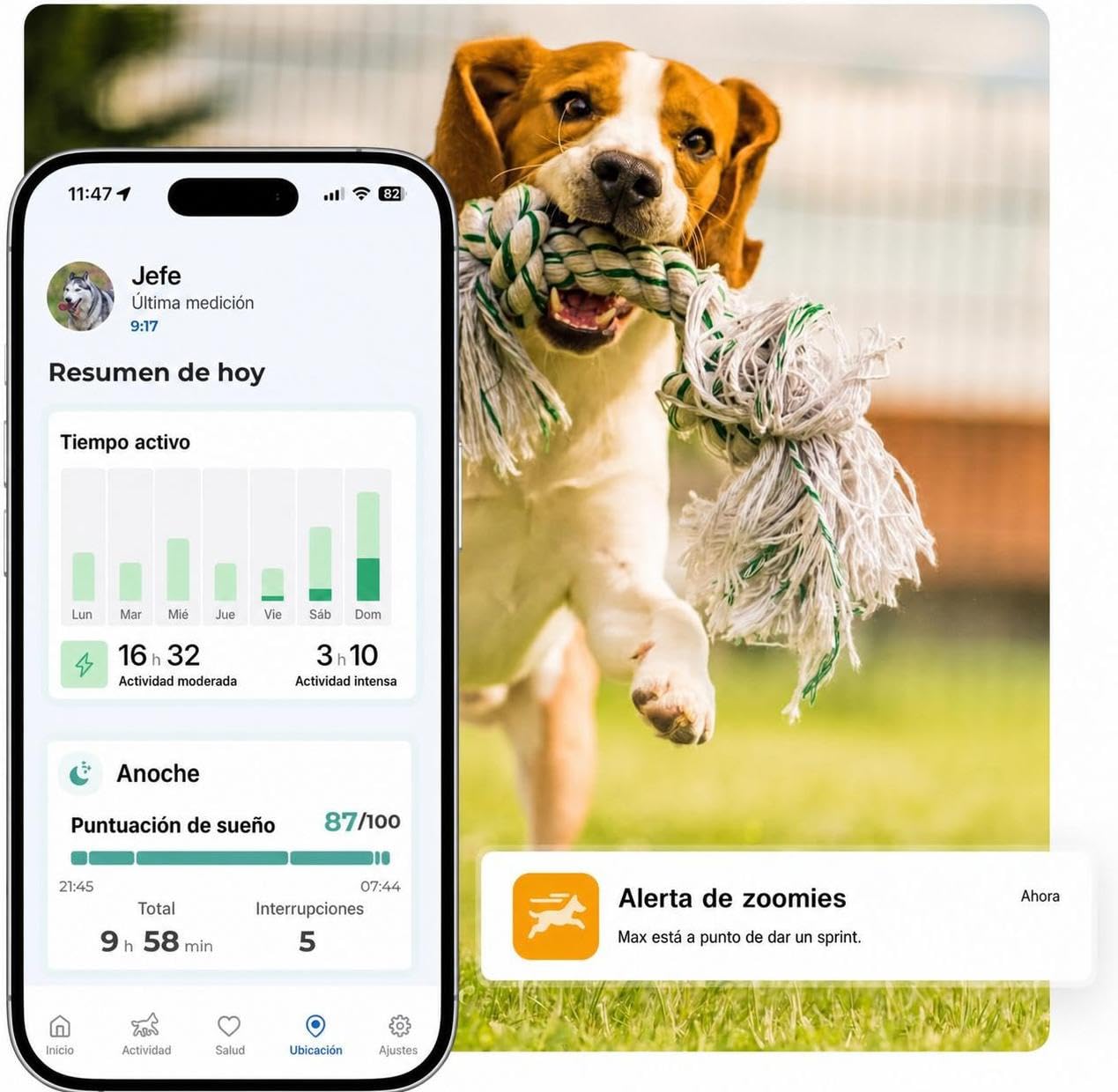 Invoxia Biotracker Edición 2026 GPS (Biotracker 2026 No ABO) | Salud para pero en tiempo real - Monitorización cardíaca y respiratoria - Alertas antiescape - IA integrada - Sin suscripción