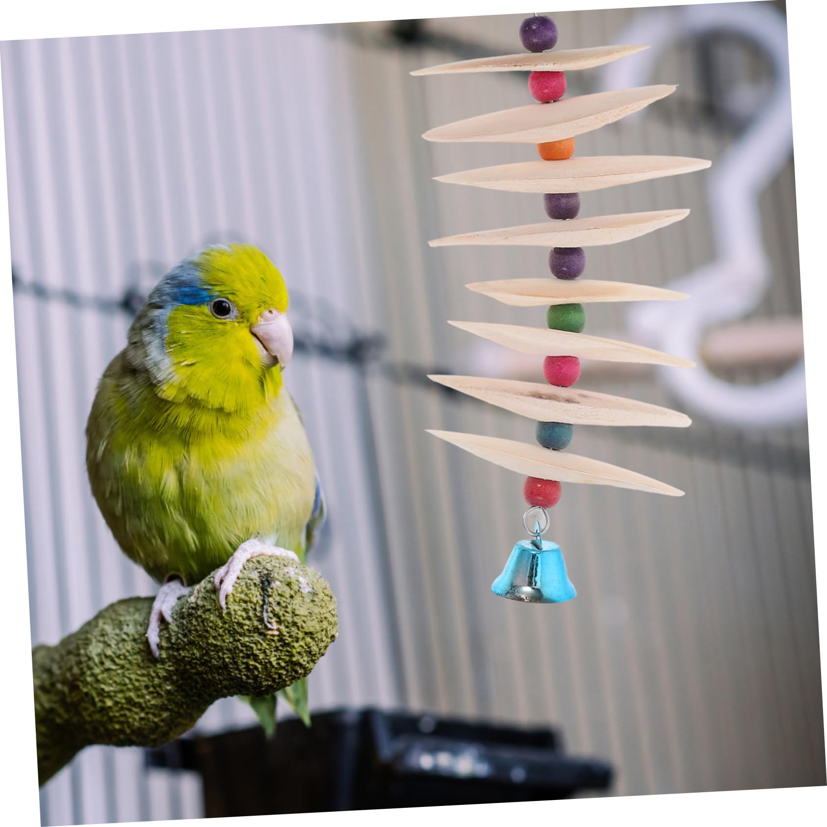 Happyyami 4stücke Papageien Spielzeug Cuttlebone Nährstoffreiches Kauspielzeug Für Vögel Zubehör Stressreduktion Und Beschäftigung Für Wellensittiche Und Andere Vogelarten