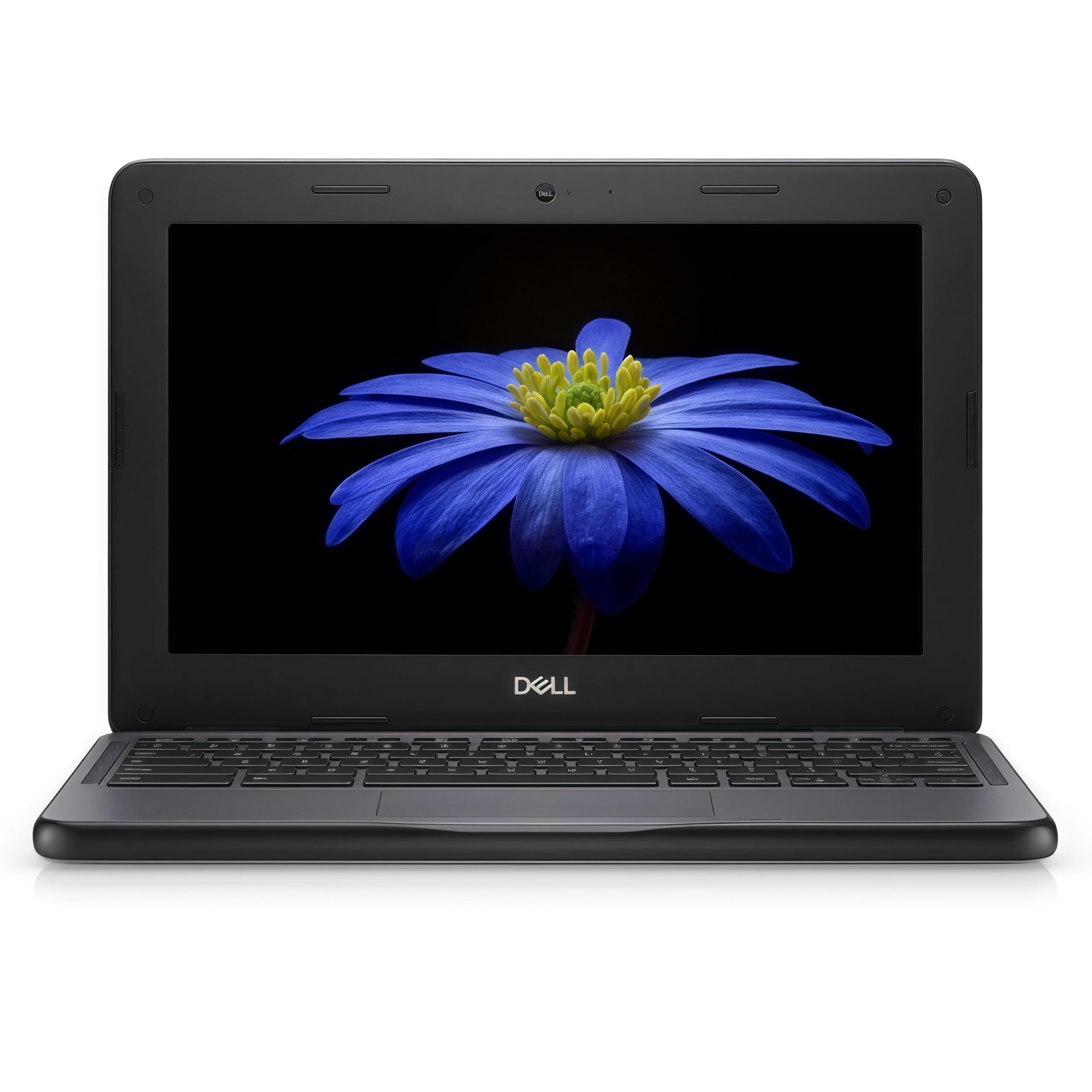 Amazon.com: Dell Chromebook 3100 2-in-1 11.6