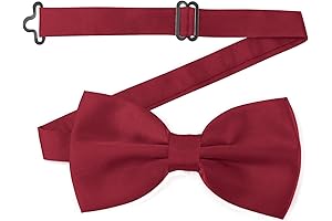 Fashion-Forward Men's Wine Red Bow Tie