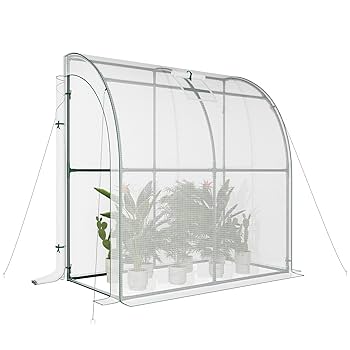 バックハウス
ベートーヴェン 皇帝
ライブ 4点セット Amazon.com : SPECILITE 79” x 40” x 83” Lean to Greenhouse