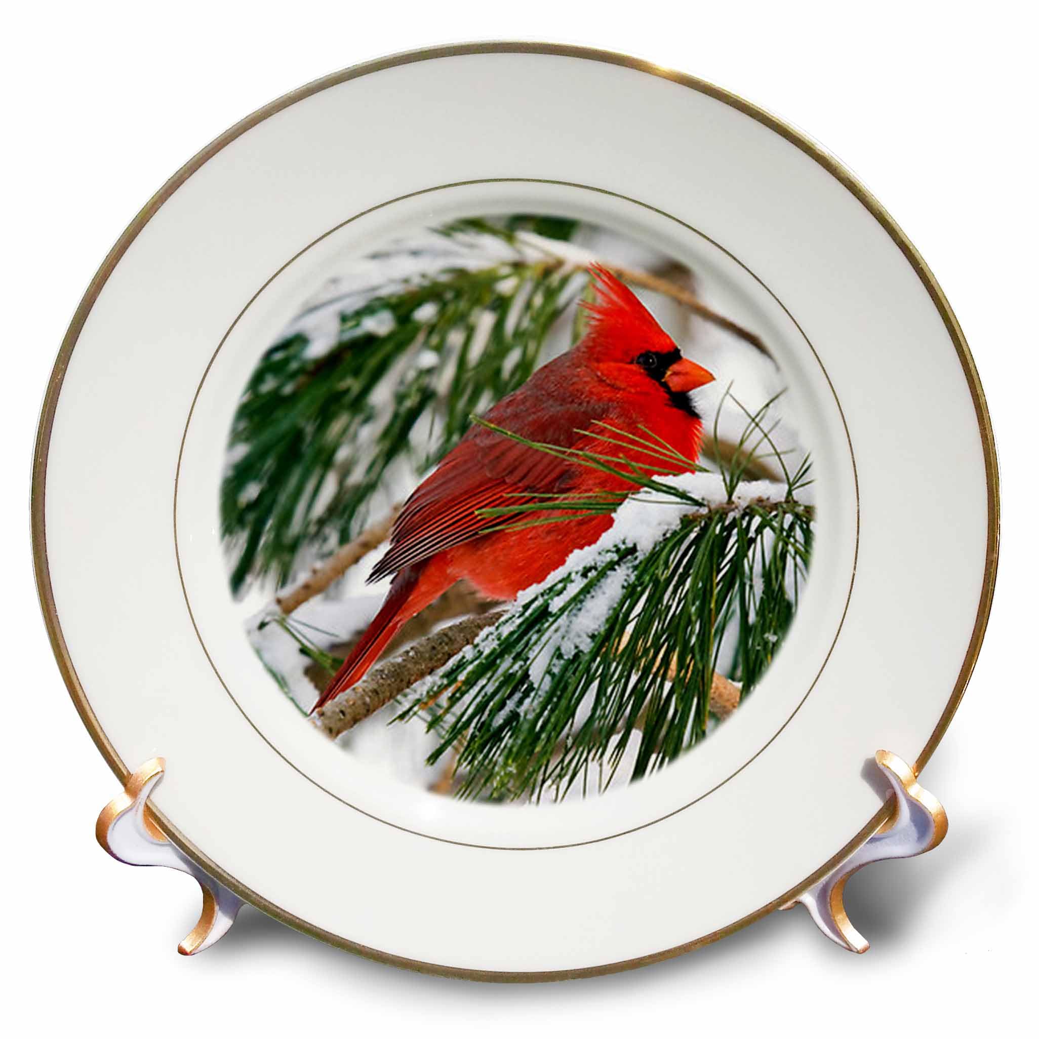 3dRose cp_112146_1 Red and Black Cardinal Perched in Snowy Pine Tree-Porcelain Plate, 8-Inch