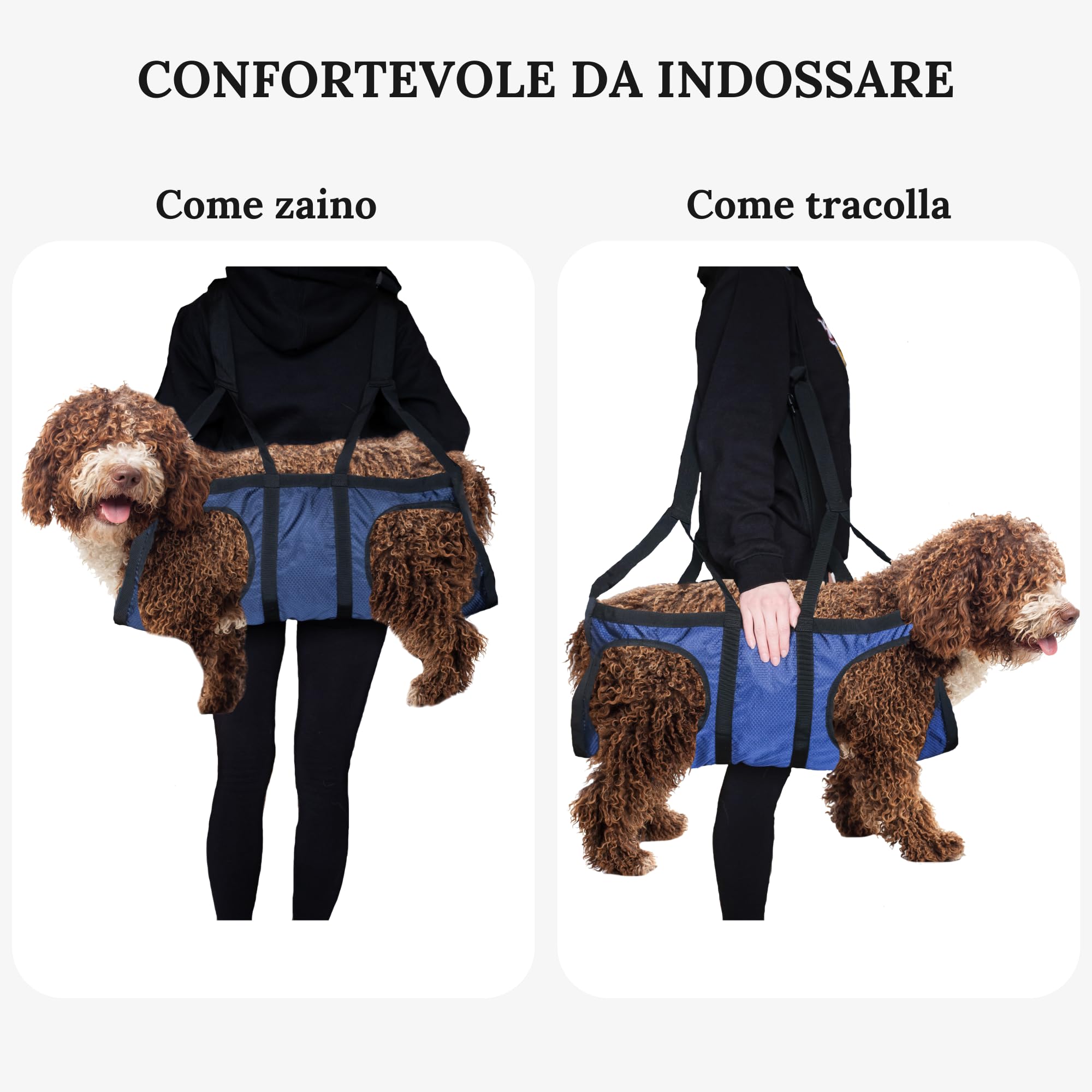 Passeggino Per Cani PawHut Pieghevole - Per Cani Piccoli Fino A 10kg, Con Freni E Cestino - Foto 3