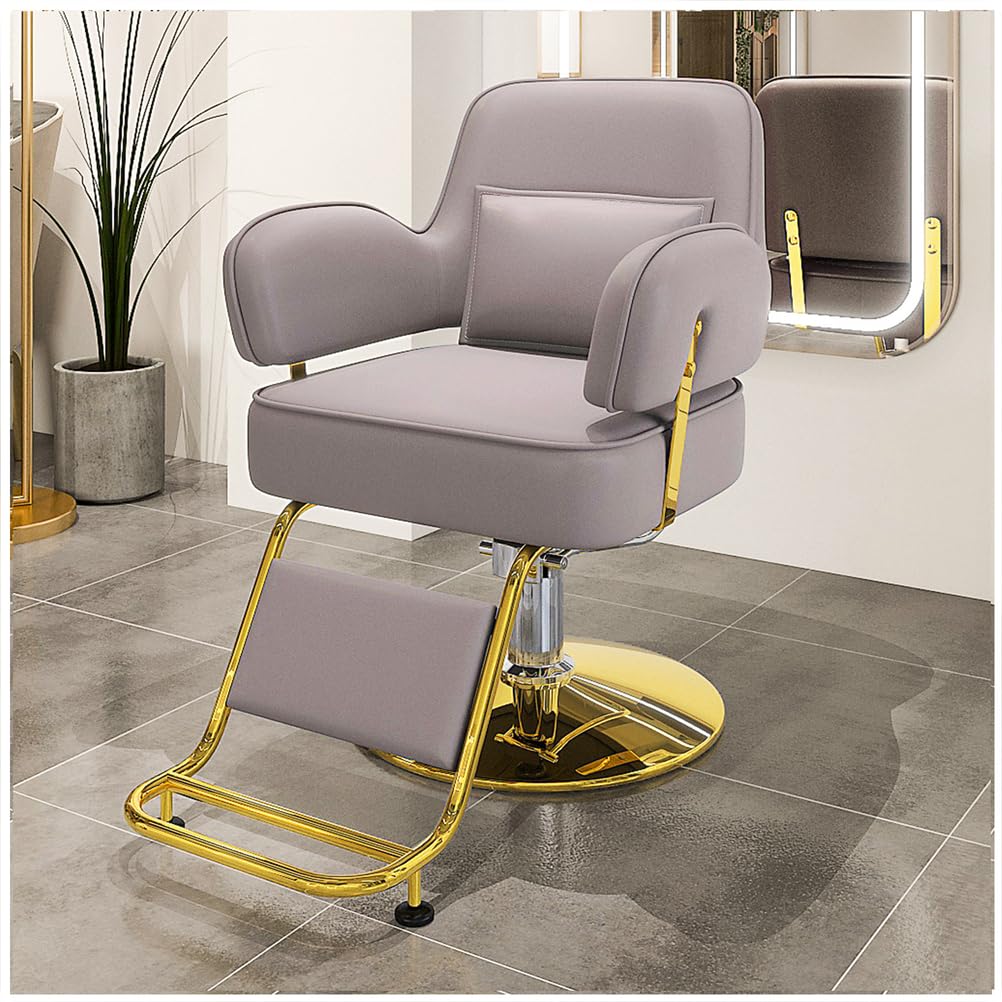 OZBMA Barber Chair, 360° Swivel Reclining Salon Height Adjustable Hydraulic Hairdressing Chair with Footrest for Beauty Salon, Hairdressers,Black,D (Grey D)