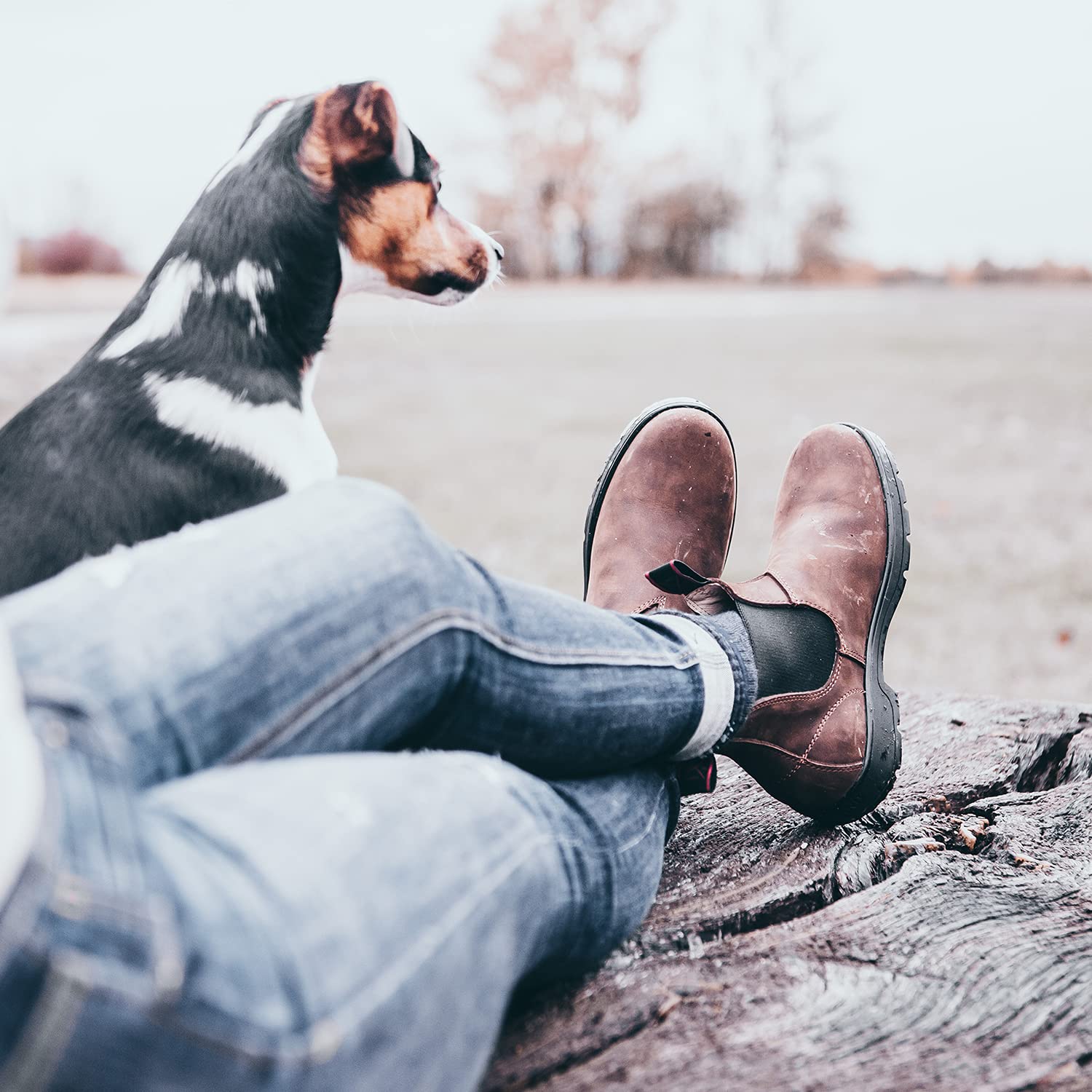 Chelsea Boot »1888 Australian Classic« Made in Portugal | Komfort-Einlegsohle | Robustes Oberleder | Schuh mit Lederfutter | Öl- u. Säureresistent | Outdoor, Gassigehen, Stall, Reiten