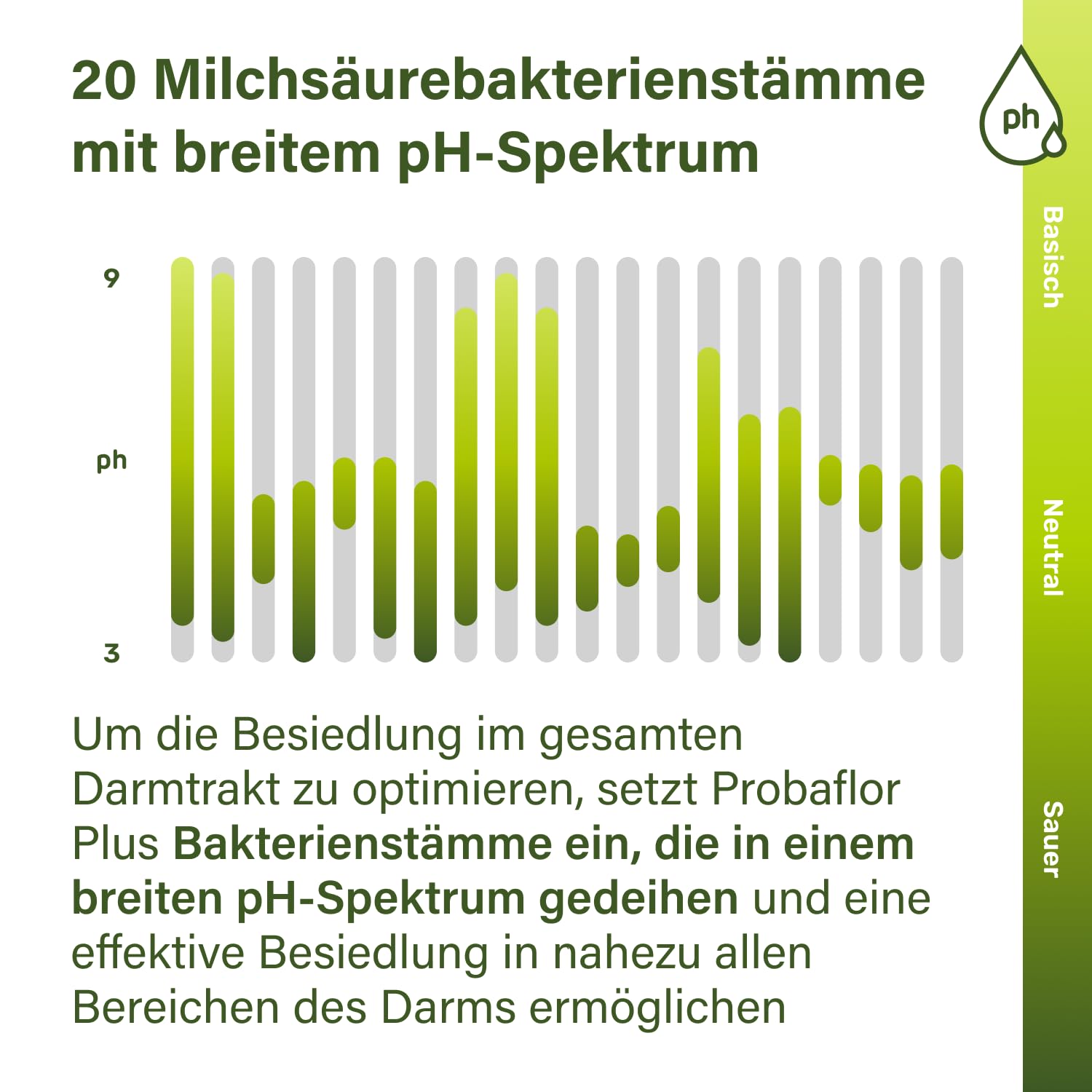 Nupure® Probaflor Plus 400 Milliarden KBE/g*, 60 Kapseln, Hochdosiert, 20 Stämme Milchsäurebakterien und Bifidobakterien, Plus Inulin, Magensaftresistente Kapselhülle