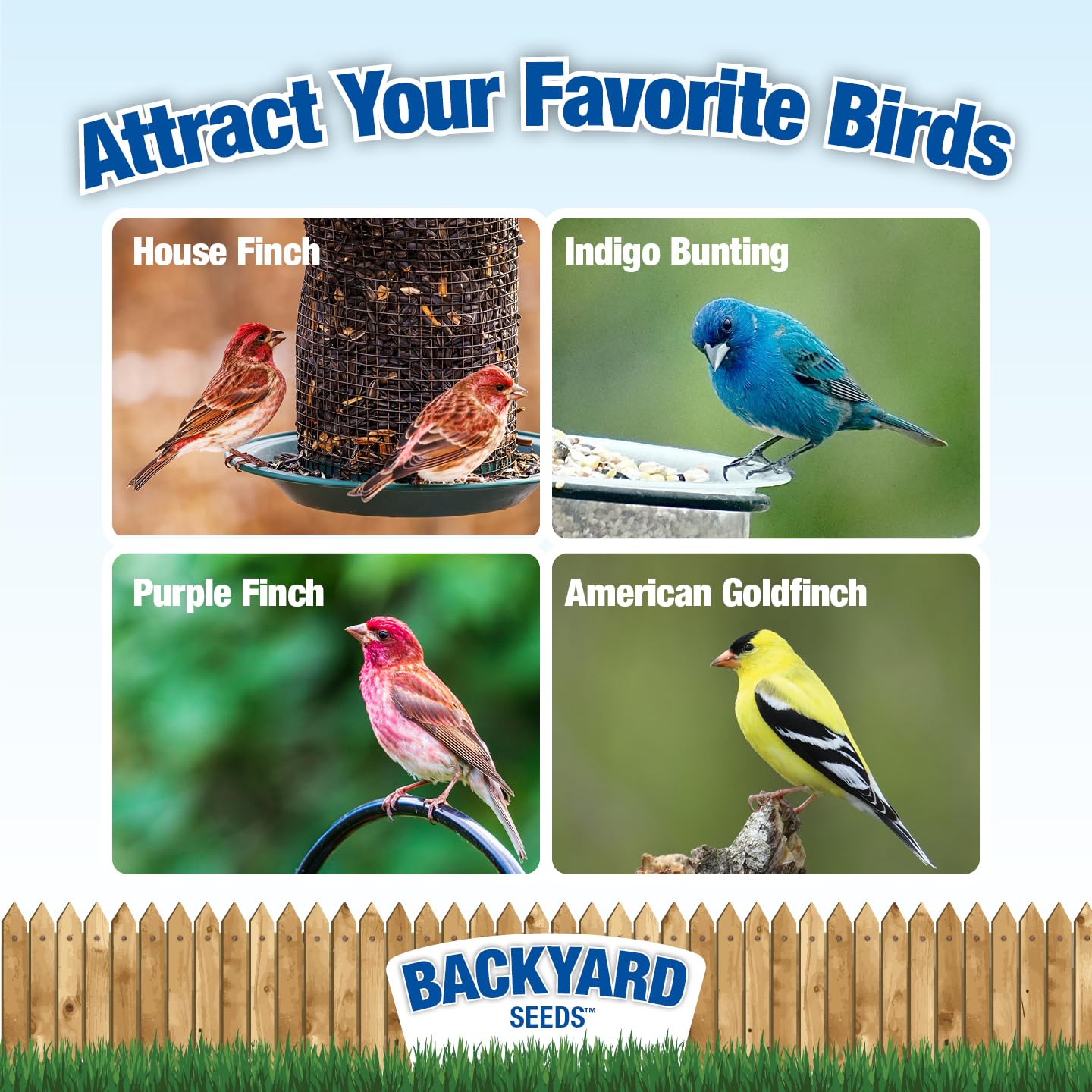 Amazon.com: CountryMax Thistle Wild Bird Seed 40 lb