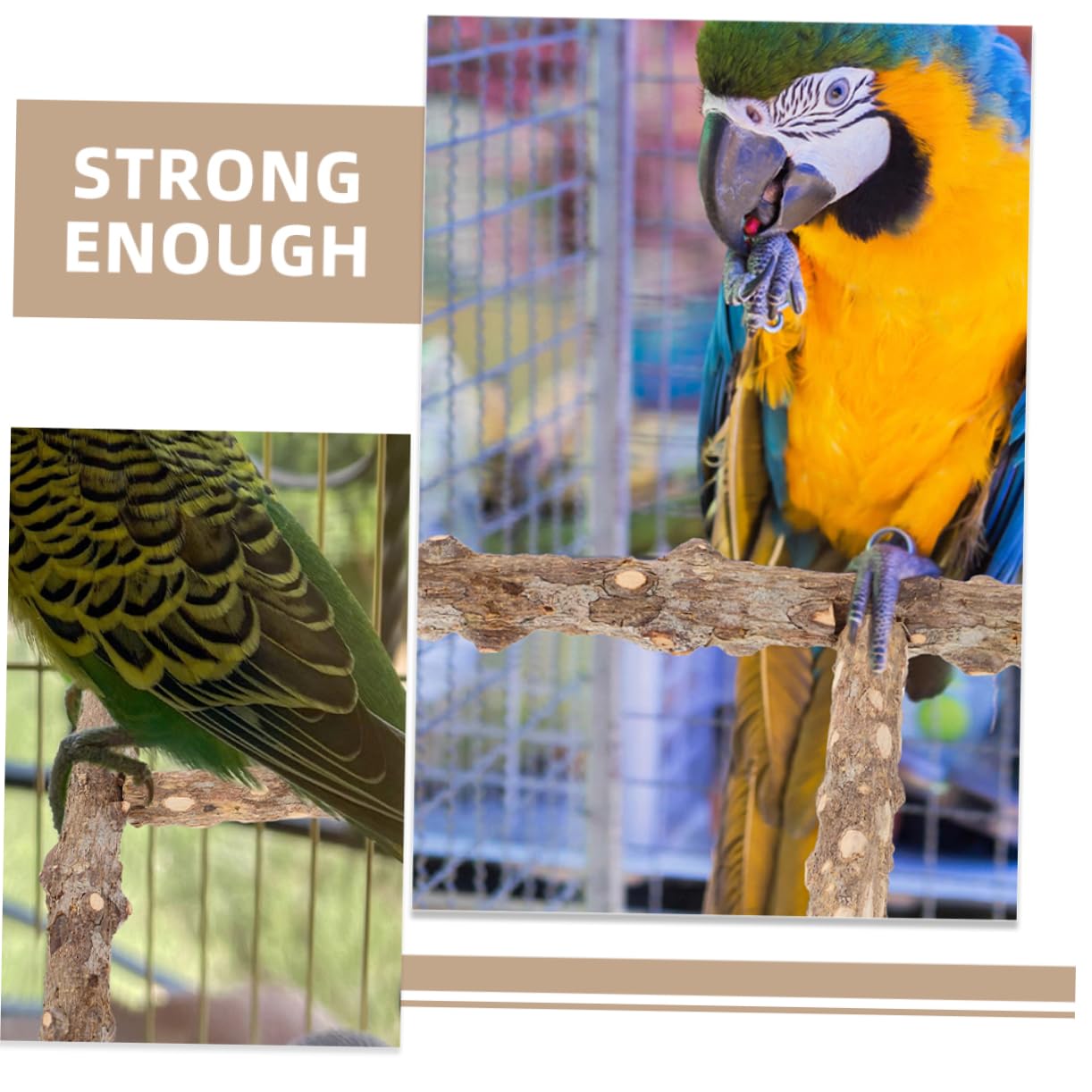 HANABASS 10pièces Perchoirs Naturel pour Oiseaux De Bâtons De Meulage pour Perroquets Et Perruches Jouets à Mâcher pour Cage à Oiseaux Accessoire Pratique Et