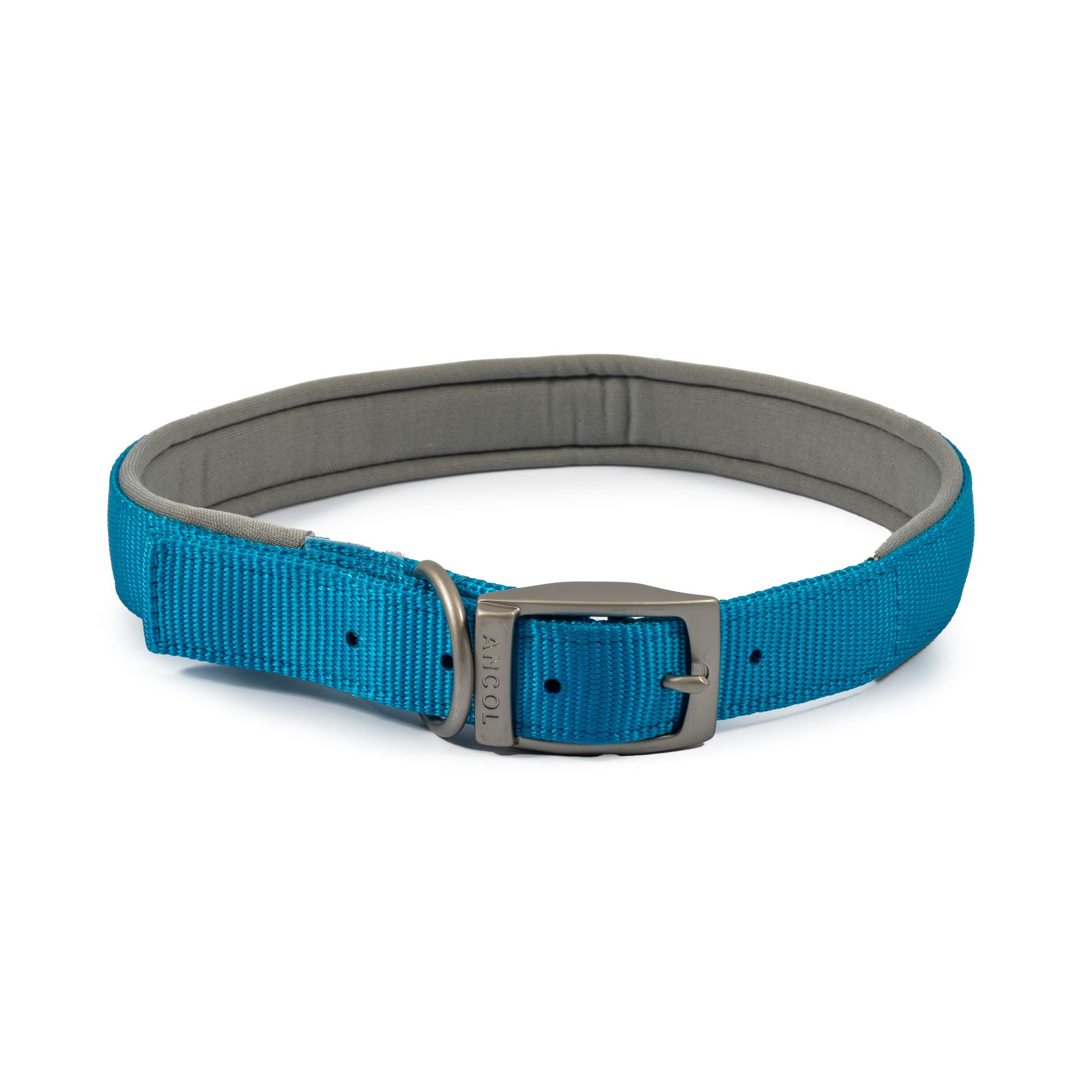 Viva Padded Collar - Blue - Size 6
