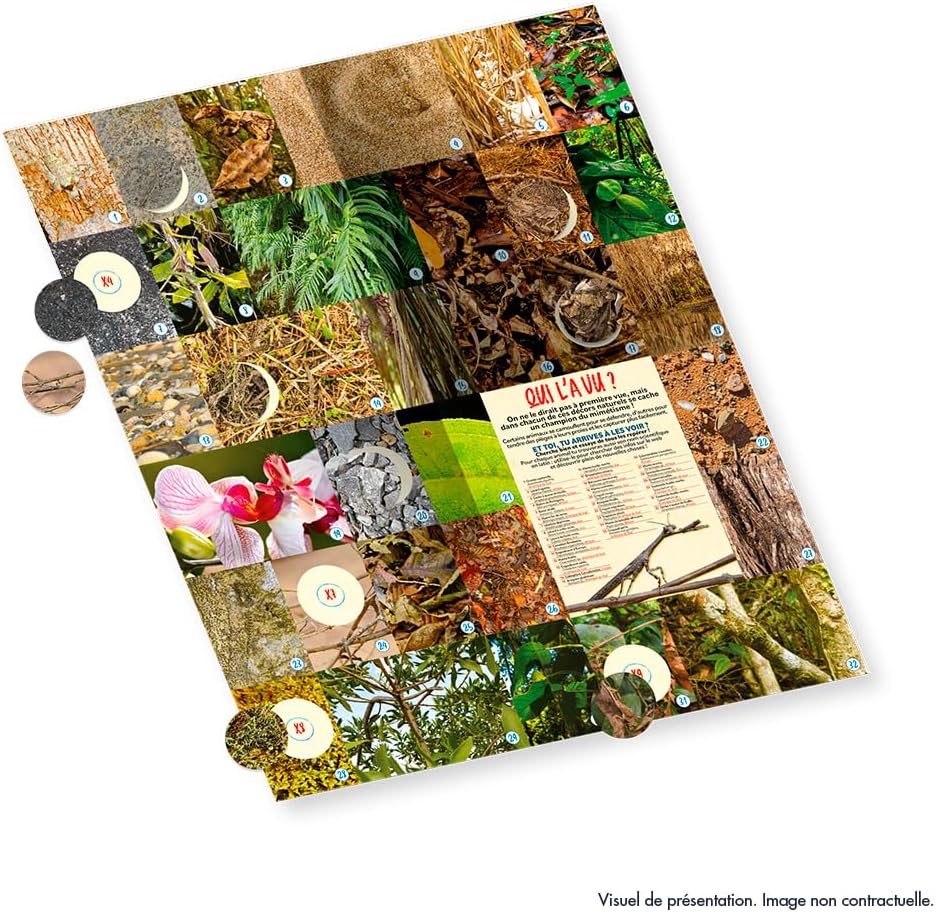 Panini Animals 2025 Album + 3 Pockets, 004904SPCFGD
