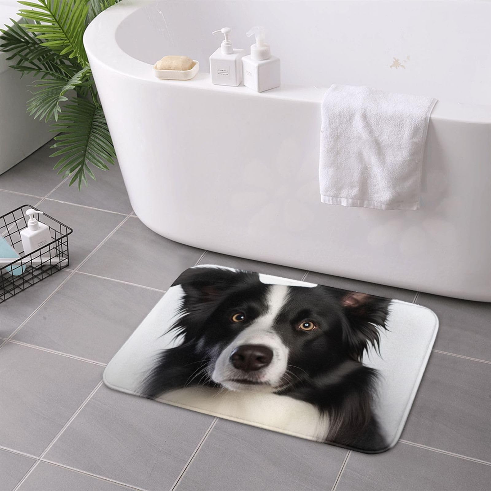 Zerbino Antiscivolo Per Metri Lineari DURA 2862 Esterno, Interno, Su G 100x150 Cm