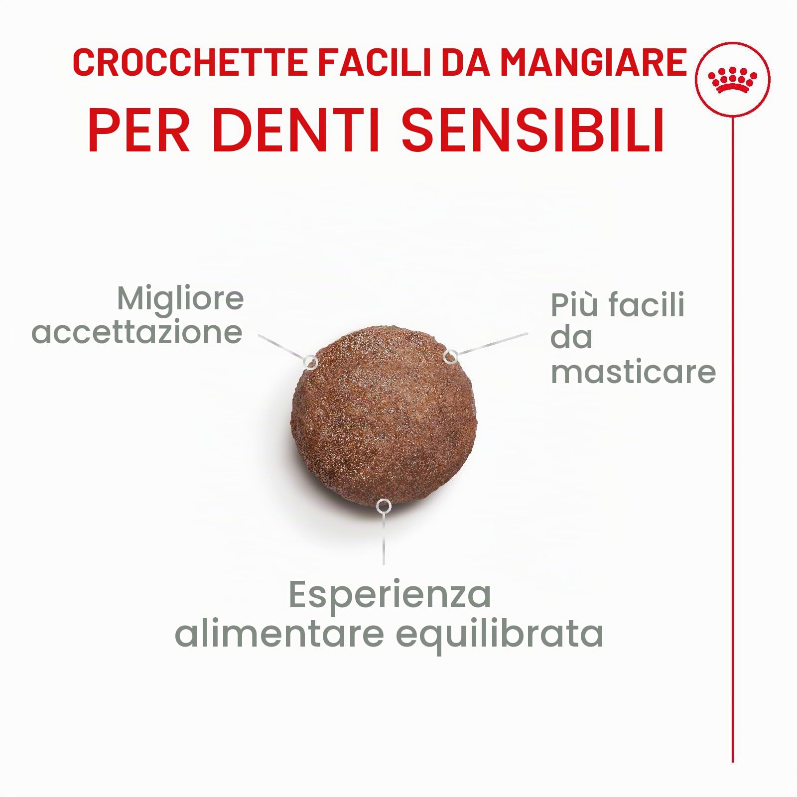 Royal Canin Ageing Sterilised 11+ | 2 kg | Cibo secco per gatti sterilizzati a partire dall'11° anno di vita | Formula con HealthyAge7™ Complex | Contiene crocchette facili da masticare
