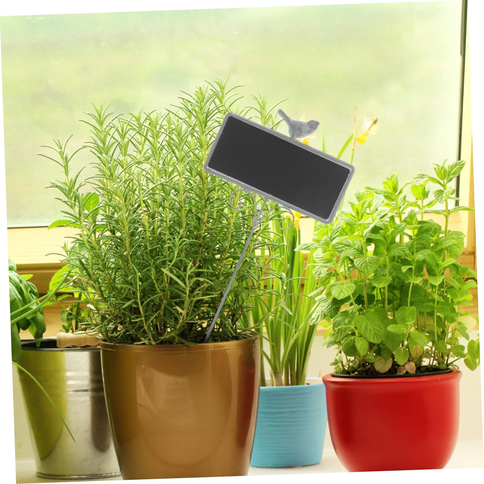 étiquette Plante 200 U00e9tiquettes De Plantes Marqueur De Jardin U00e9tiquettes De Jardinage De Legumes Etiquettes De Piquet De Semences De Jardin De Type T Pour Exterieur 87927719 Panneau Jardin étiquette Plante 200 U00e9tiquettes De Plantes Marqueur De Jardin U00e9tiquettes De Jardinage De Legumes Etiquettes De Piquet De Semences De Jardin De Type T Pour Exterieur 87927719 Panneau Jardin