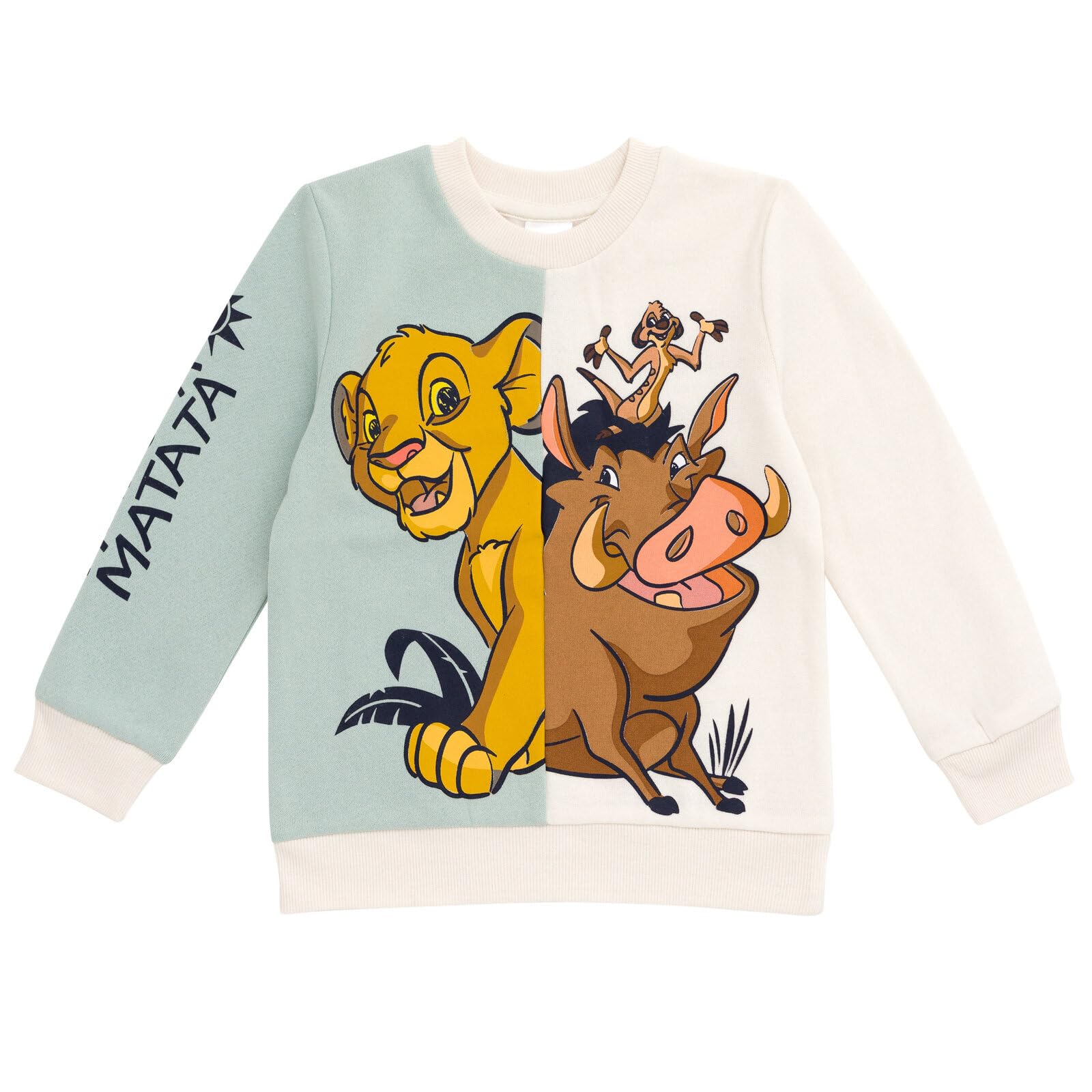 DisneyLion King Mickey Mouse Cars Toy Story Sweatshirt Toddler to Big Kid Sizes (2T - 18-20)