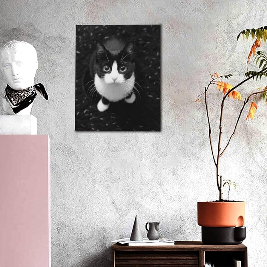 猫の額　ハチワレ　アート　インテリア　オブジェ　レア　希少 猫の額 ハチワレ アート インテリア オブジェ レア 希少 猫の額