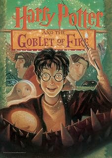 MIGHTYPRINT Harry Potter - Goblet of Fire - Book Cover – Durable 17” x 24 Wall Art – NOT Made of Paper – Officially Licensed Collectible