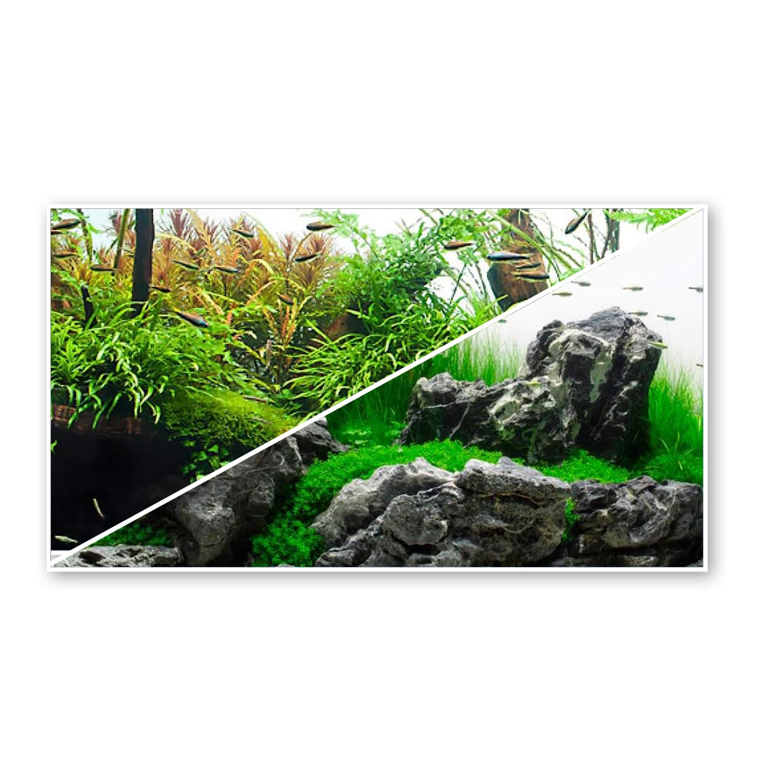 Sfondo Per Acquario Doppia Faccia AMTRA WONDER - Poster Decorativo 45x100cm Per Parete Posteriore - Foto 6