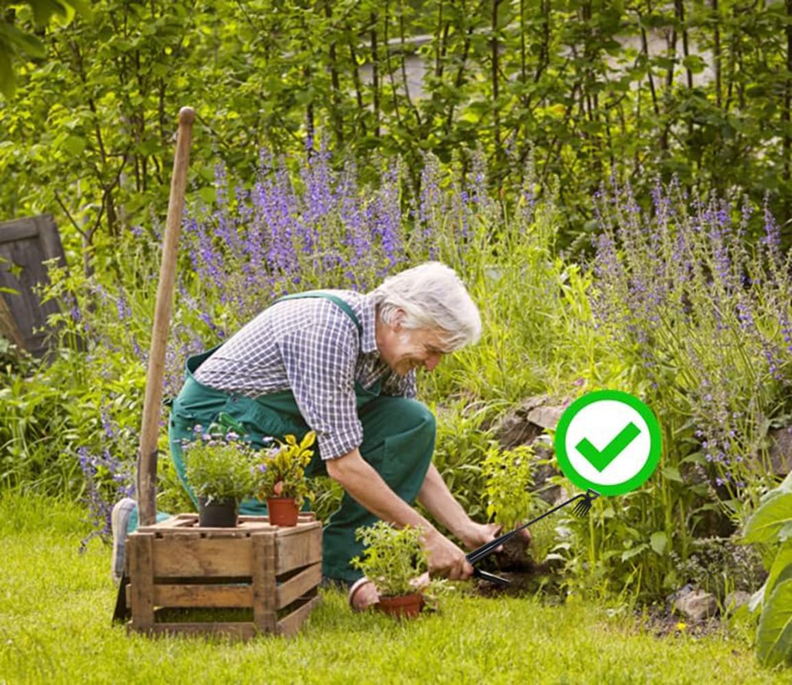 Weed Removal Tool, 2025 New Garden Weeding Tools Manganese Steel Hand Weeder Tool with Handle, 5 Teethes Dual Purpose Manual Weeders Tool Weed Tool for Garden (Black)