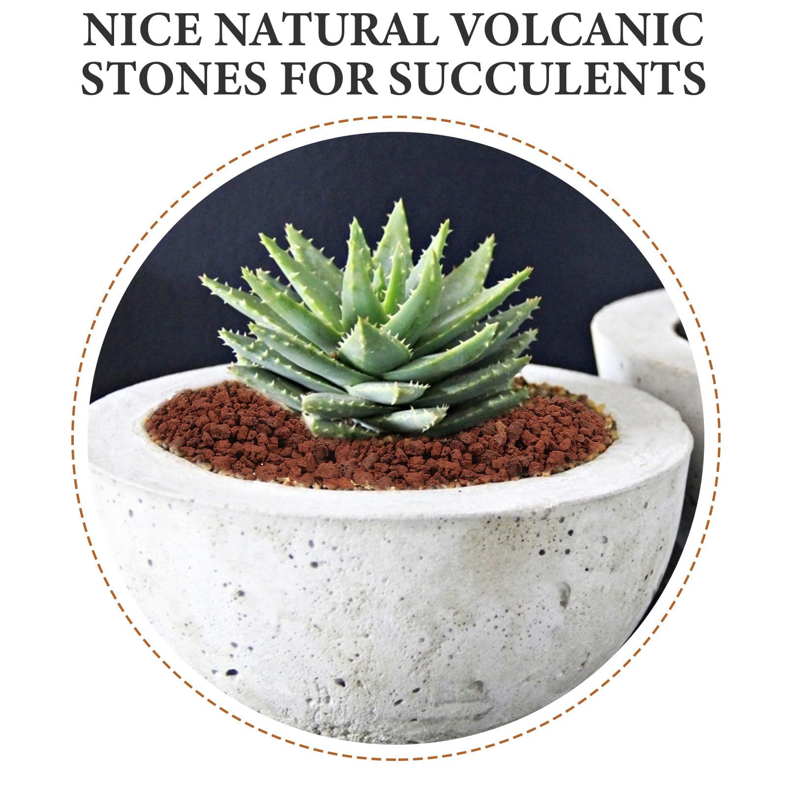 Veemoon Volcaniques Naturelles Marron pour Aquarium et Succulentes, Décoration Sûre Surface Naturelle, pour Remplissage de Vases et Pelouses