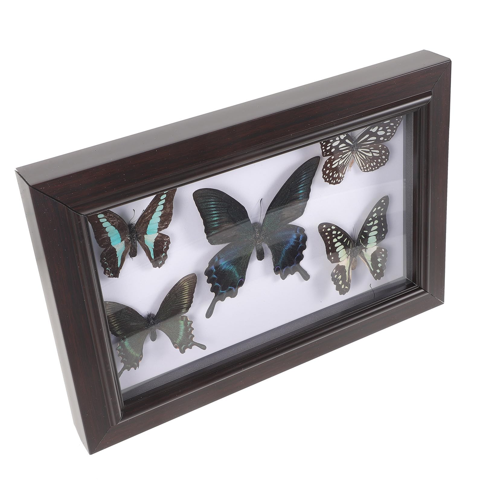 Anneome Marco de Exhibición de Butterfly en Madera con Buena Artesanía para Decoración del Hogar y Obsequio de Cumpleaños, Adecuado para Colgar en Pared o Colocar en Escritorio