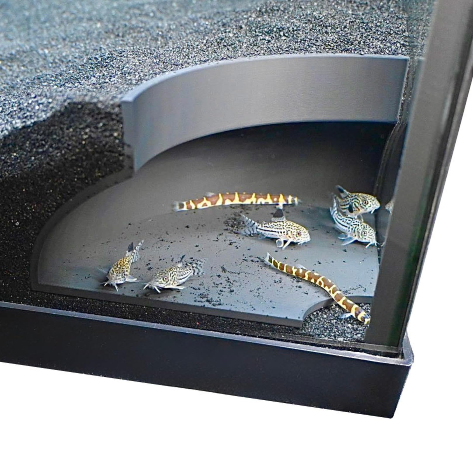Aquarium Underground Corner Cave | Viewing Fish & Shrimp Tunnel | Fish Tank Decor Decoration Hideout Perfect for Corydora Catfish, Kuhli Loach, Clown Loach, Pleco, Betta Fish (Black)