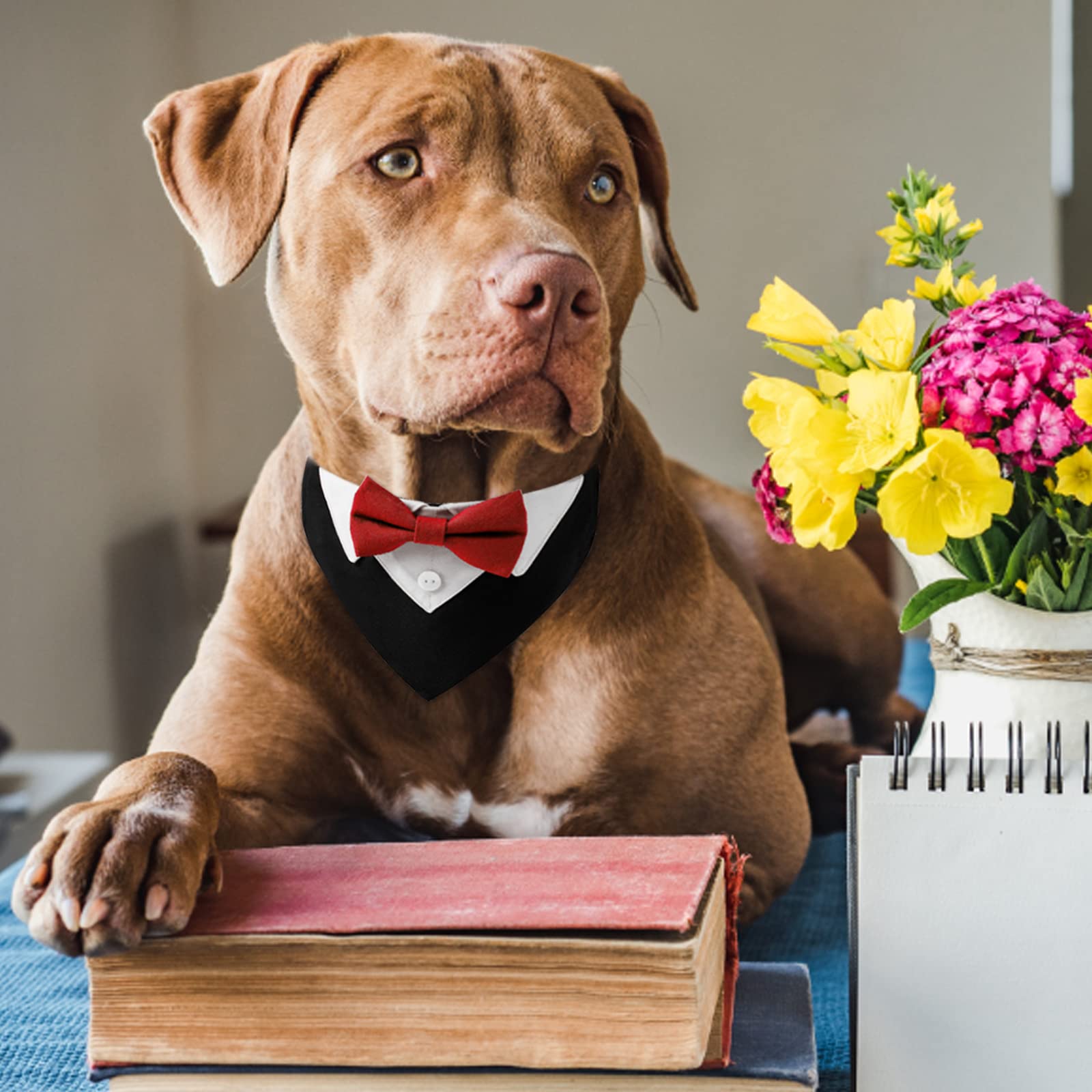 Funmo Formeel honden-smokingbandana, driehoekige katoenen sjaal