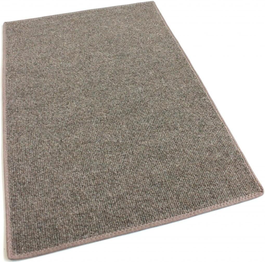 KOECKRITZ - 6' x 10' Indoor/Outdoor Carpet - Brown