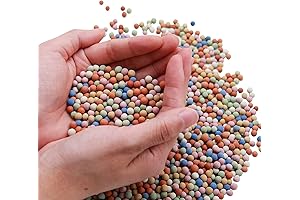 Premium Ceramsite Plant Decor: Enhance Your Green Oasis