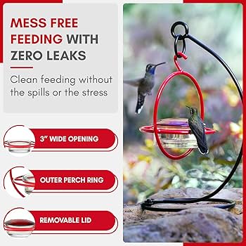 How to Open a Hummingbird Feeder: Easy Tips for Quick Access