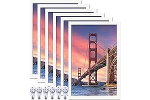 Diversify Your Wall Decor with 6 Sets of Crisp White 11x17 Picture Frames
