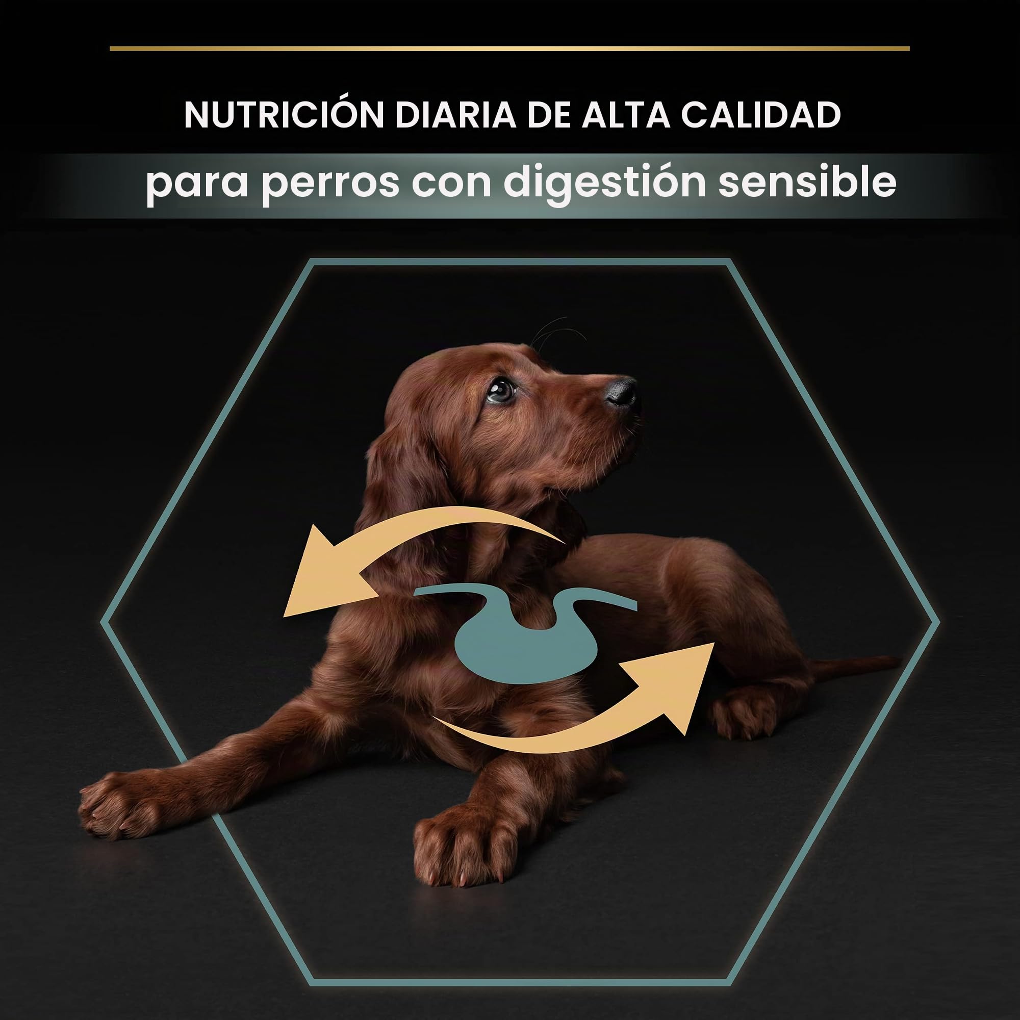 PURINA PRO PLAN Large Athletic Puppy Sensitive Digestion cordero