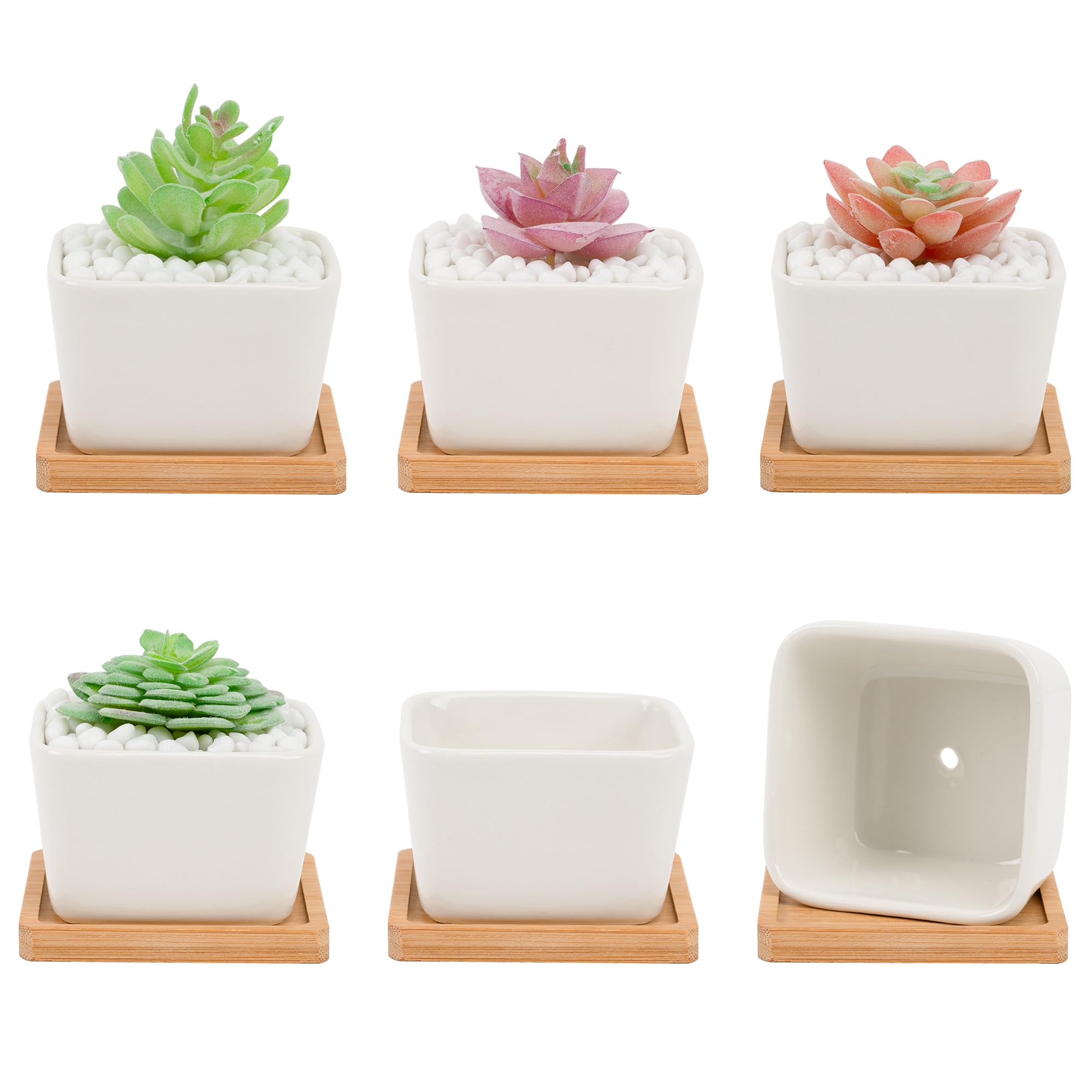 Leismy 6 PCS Succulent Pot Cactus Containers White Ceramic Planter with Drainage Hole and Removable Tray Small Plant Pots for Home Office Decor Bonsai Container for Indoor Outdoor Plants (Square)