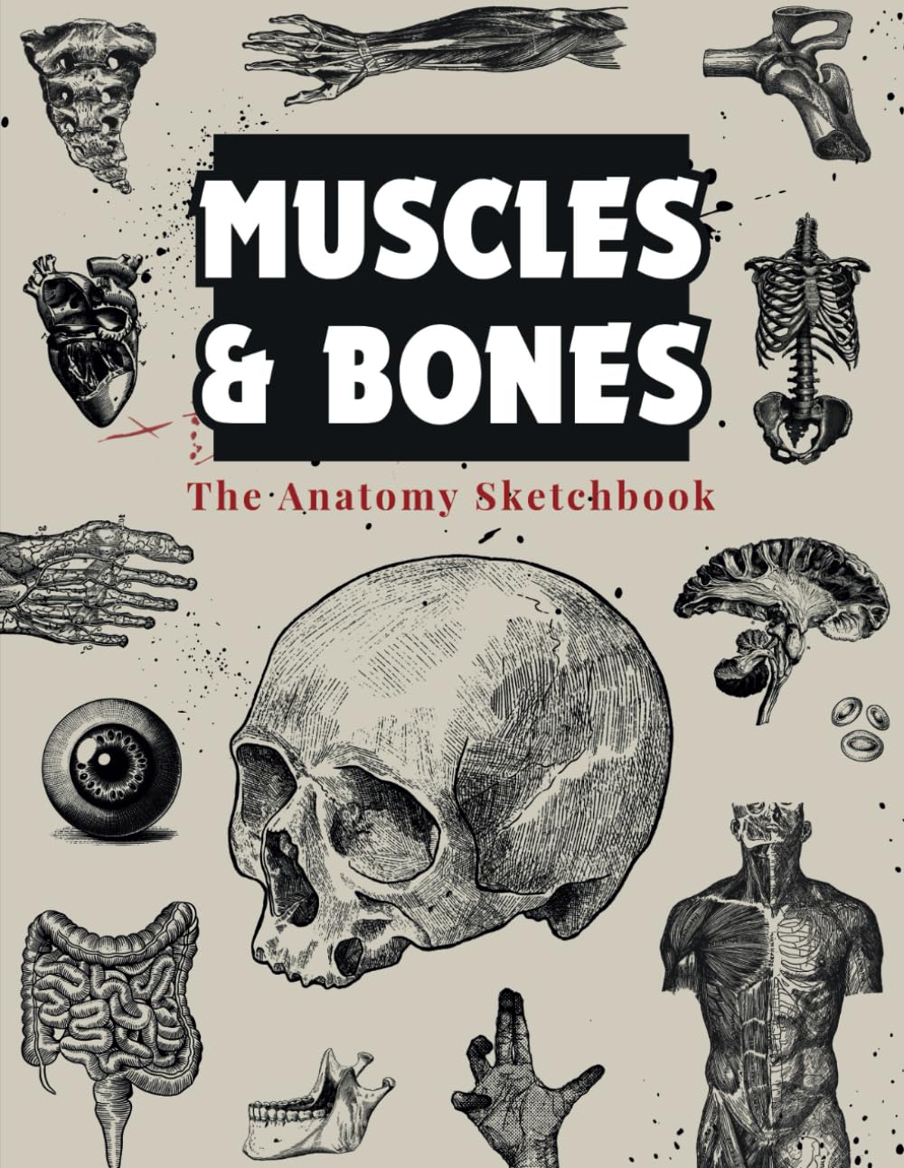 Muscles & Bones: The Anatomy Sketchbook: 240+ Anatomy Sketches for Artistic and Designers (Artistic Inspiration Series)