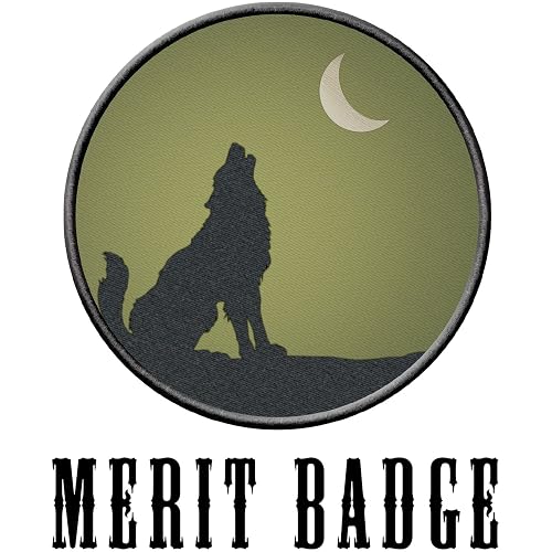 I Almost Felt The Sunshine On Me By Merit Badge On Amazon Music Amazon Com