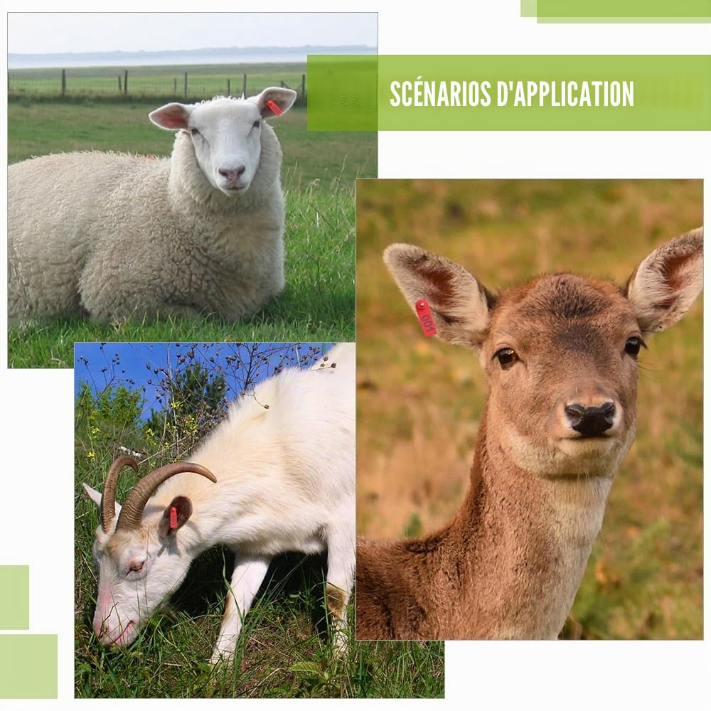 WMYCONGCONG Etiquette d'oreille en plastique numéro 1 à 100 pour bétail et 1 applicateur d'étiquette d'oreille pour chèvre et mouton