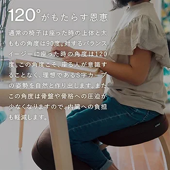 Amazon.co.jp: バランスラボ バランスイージー 通常フレーム