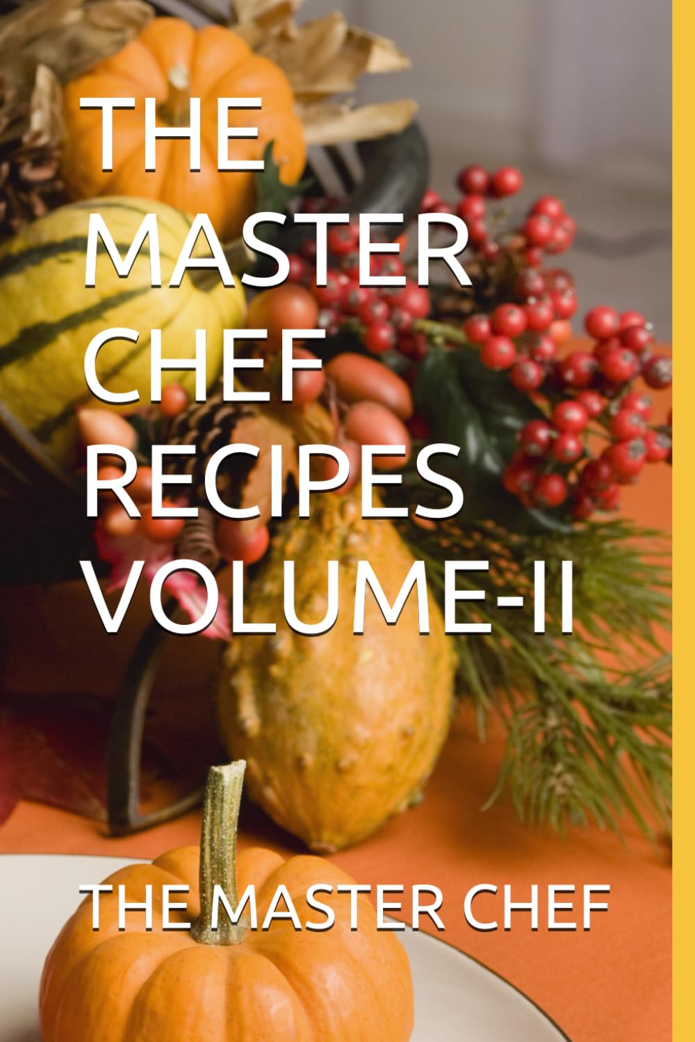 THE MASTER CHEF RECIPES VOLUME-II